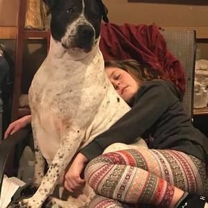 Meet your Posher, Monroe